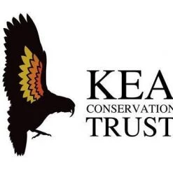 Ridgeline Kea Womens Jacket Dark Olive 7 Ridgeline Kea Womens Jacket Dark Olive -Ridgeline Sales Store kea