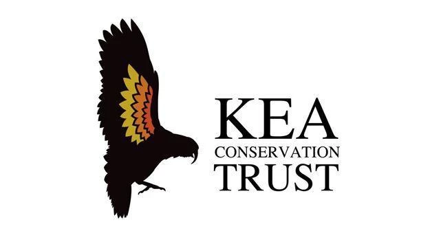 Ridgeline Kea Womens Jacket Dark Olive 5 Ridgeline Kea Womens Jacket Dark Olive - Image 3